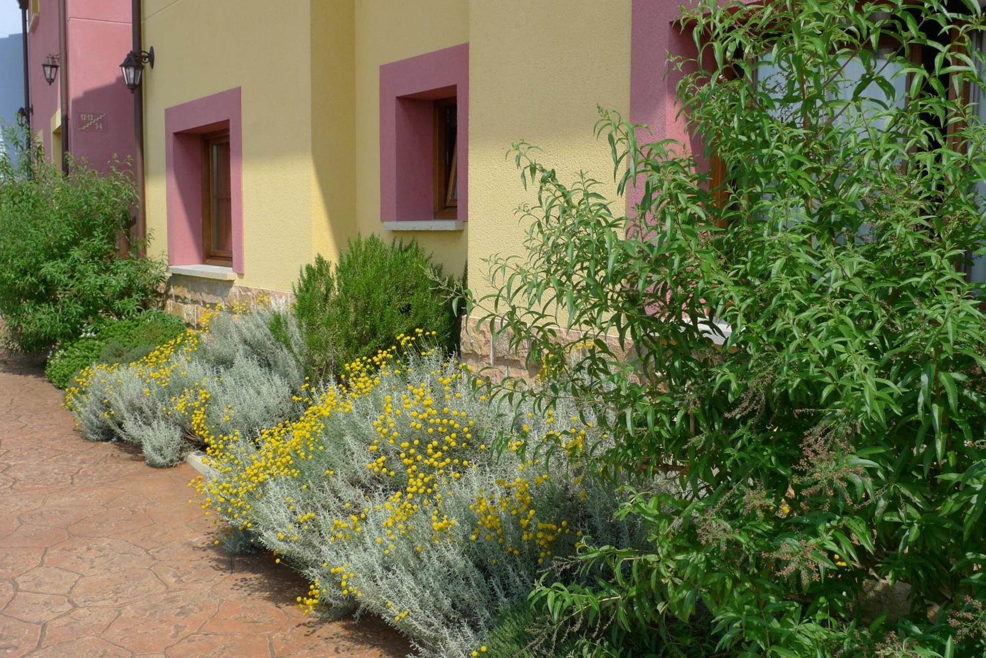 Apartamentos Rurales Antojanes Granda  Bagian luar foto
